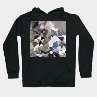 Davy Grey Abstract Low Polygon Background Hoodie